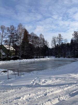 kluziště